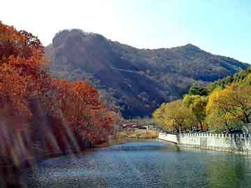 管家婆黑白马报图库，吴堡seo建站